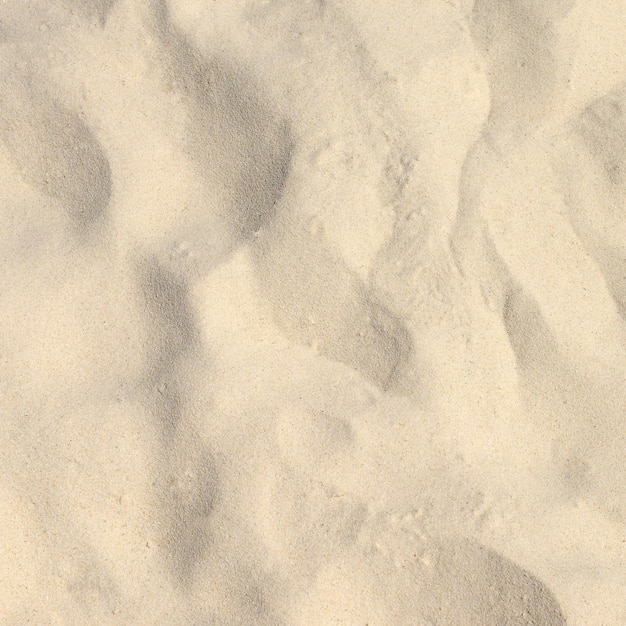 Sand texture Sandy beach for background Top view