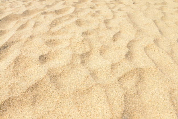 Sand texture. Sandy beach for background. Top view