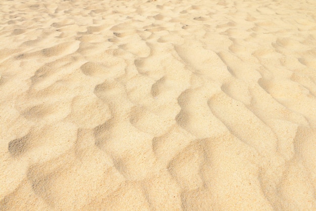 Sand texture Sandy beach for background Top view