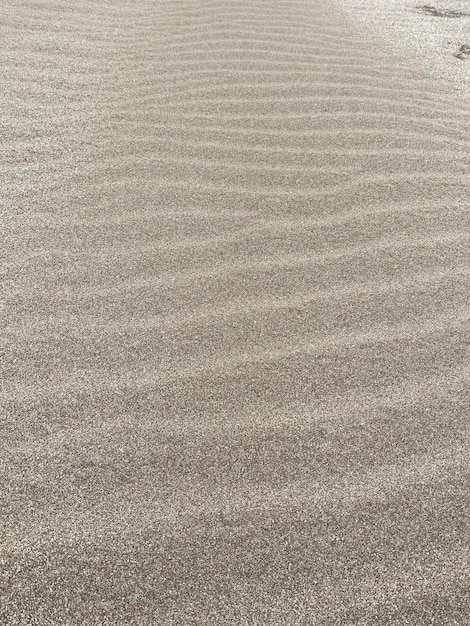 sand texture on the sea coast