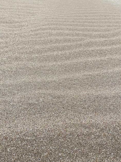 sand texture on the sea coast