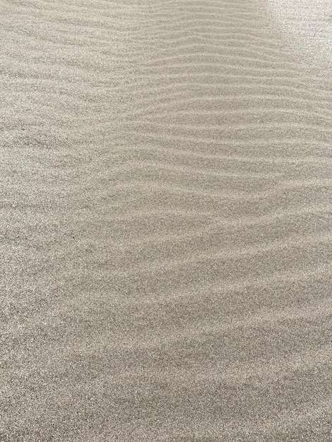 sand texture on the sea coast