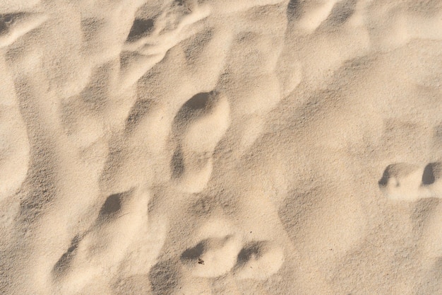 Sand texture sunny beach background