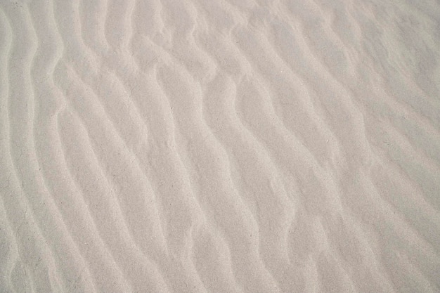 Sand texture wavy sand textured background sand textured beach