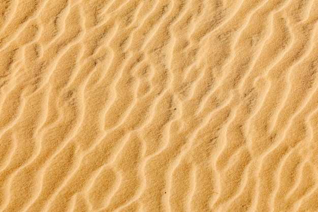 Sand texture