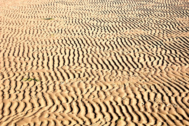 Sand waves