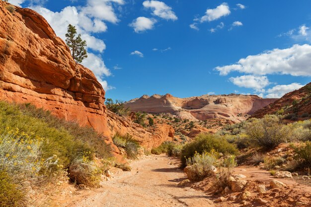 Sandstone formations in Utah, USA