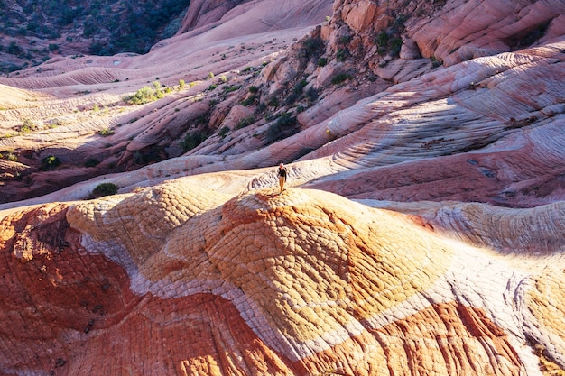 Sandstone formations in Utah