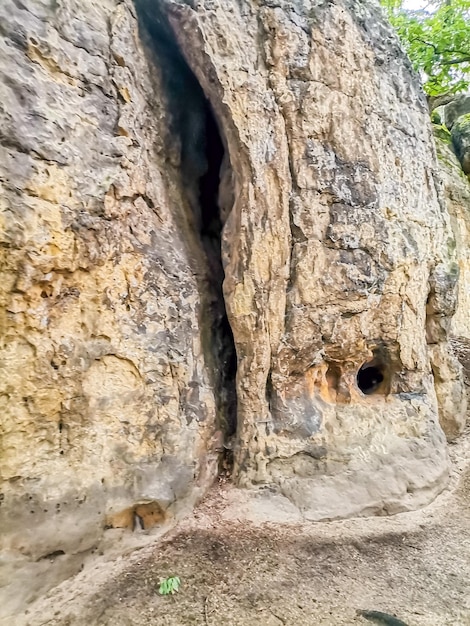 Sandstone rock and forest around sculptures certovy hlavy near zelizy czech