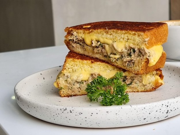 sandwich tuna cheese melt in cafe coffee shop delicious meal fast-food