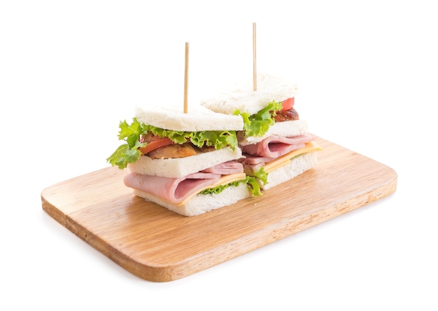 sandwich on white background