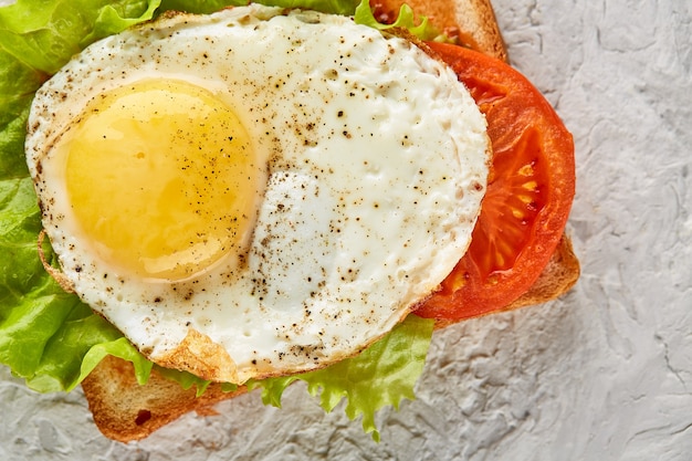 Sandwich with egg tomatoes and herbs on a gray textured background closeup with a place to copy