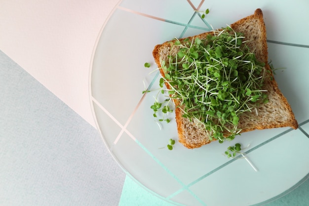 Sandwich with juicy greens breakfast for a vegetarian on a colored background