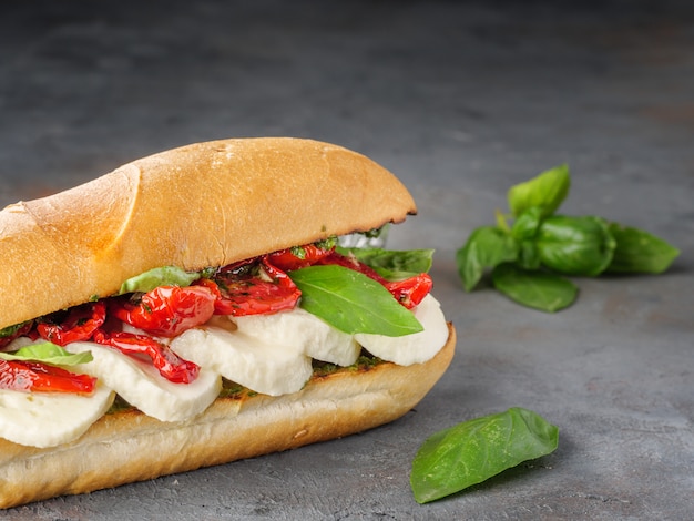 Sandwich with mozzarella cheese and sun-dried tomatoes