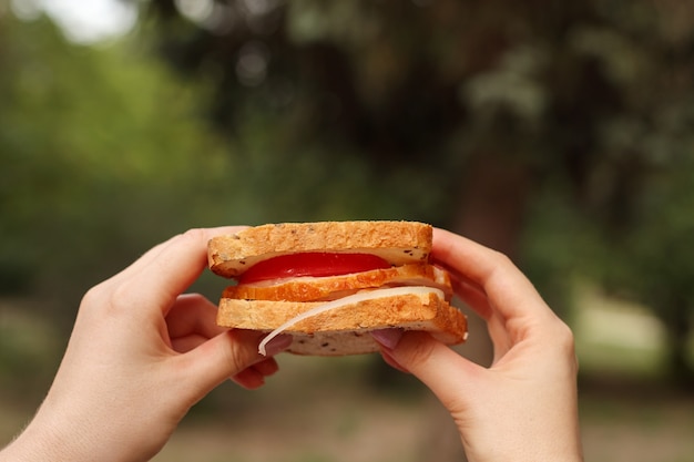 Sandwich in women's hands, on a picnic in the park.