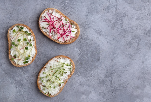 Sandwiches with cheese and microgreens on a grey background