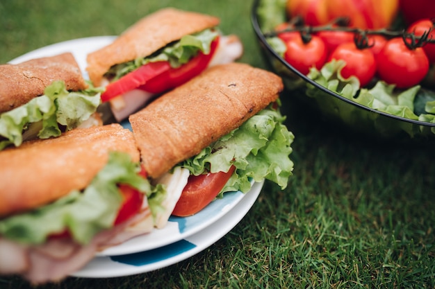 Sandwiches with tomatoes, onion and lettuce staying on plate