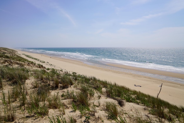 Sandy access in sand dune beach in le porge Ocean in France