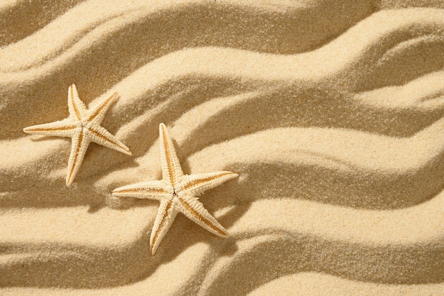 Sandy beach background with starfishes Top view