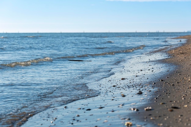 Sandy beach dotted with small shells against the background of transparent sea water