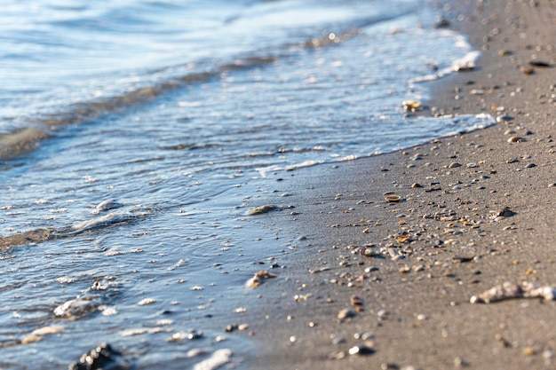 Sandy beach dotted with small shells against the background of transparent sea water