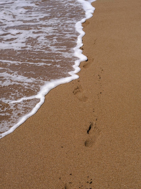 Sandy beach and sea wave