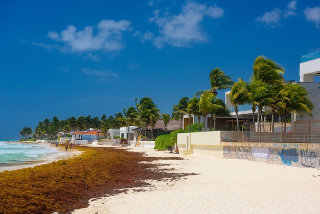 Sandy beach on a sunny day with hotels in Playa del Carmen Mexico