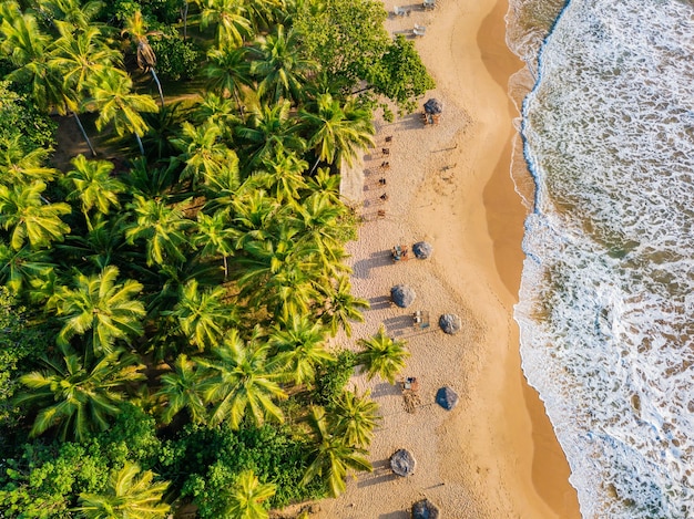 Photo sandy beach at sunset sri lanka drone photo