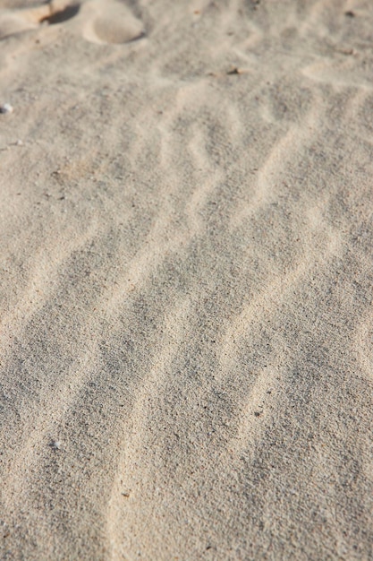 Sandy Beach Texture Closeup Bahamas Paradise Island