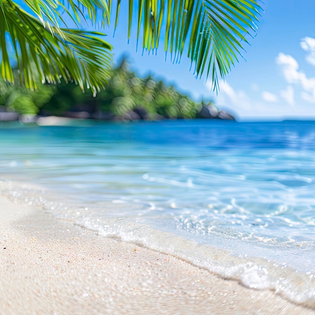 Photo sandy beach with palm trees with blurred blue ocean in background