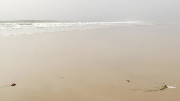 Sandy misty beach, Encinitas California USA. Pacific ocean coast, dense fog brume, empty sea shore. Coastline near Los Angeles, milky smog haze. Gloomy weather on shoreline. Grey monochrome water wave