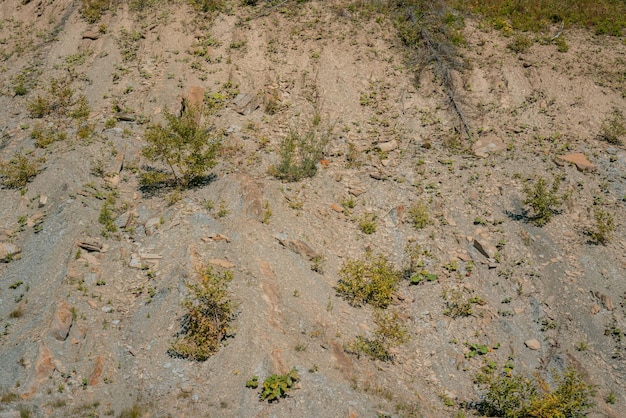 Sandy surface and plants on the mountain hill Green Nobody View Tour Tourism Vale Climate Discover Discovery Down Earth Exploration Explore Grunge Heat