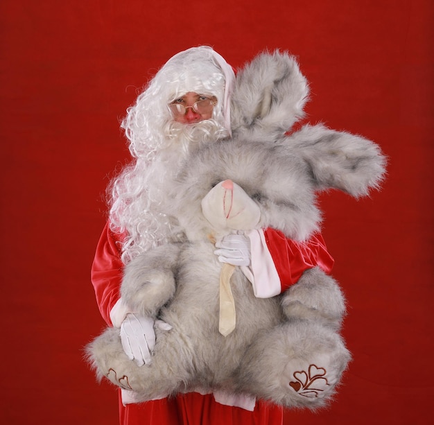 Santa Claus with plush rabbit