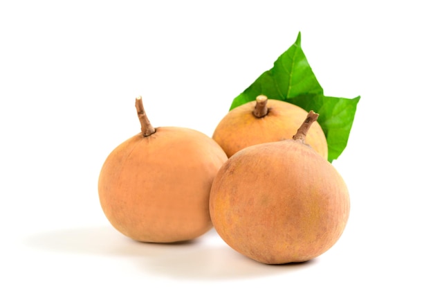 Santol fruit isolated on white background the famous fruit of Lop Buri