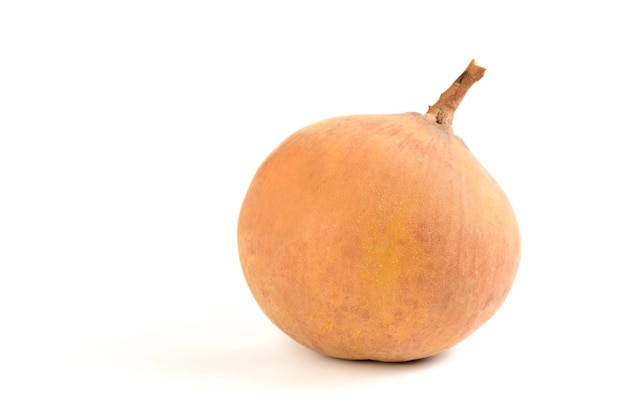 Santol fruit isolated on white background the famous fruit of Lop Buri