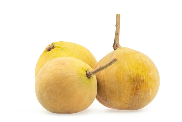 Santol fruit isolated on white background