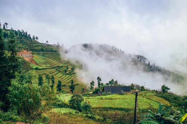 Sapa, north of Vietnam