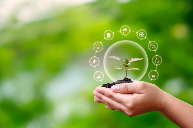 Sapling growing on soil in farmer's hands and plant growth factor icon afforestation