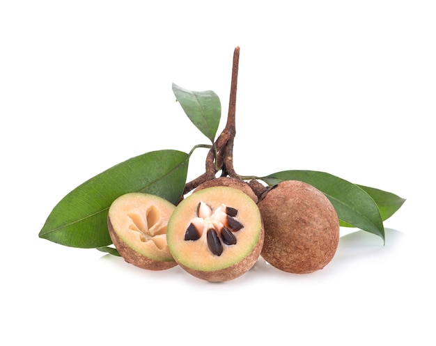 Sapodilla fruit isolate on white background