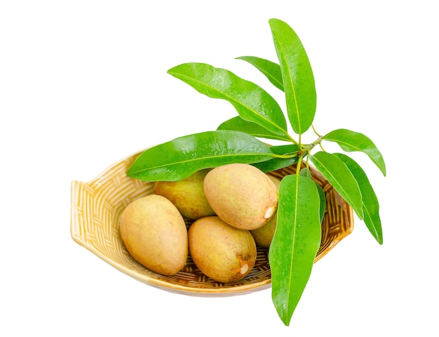 Sapodilla fruits with leaves isolated