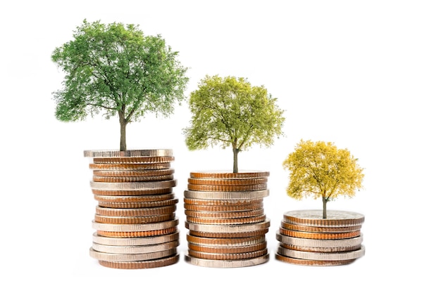 Save money tree and change color growing on stack coins, Business finance investment business concept.