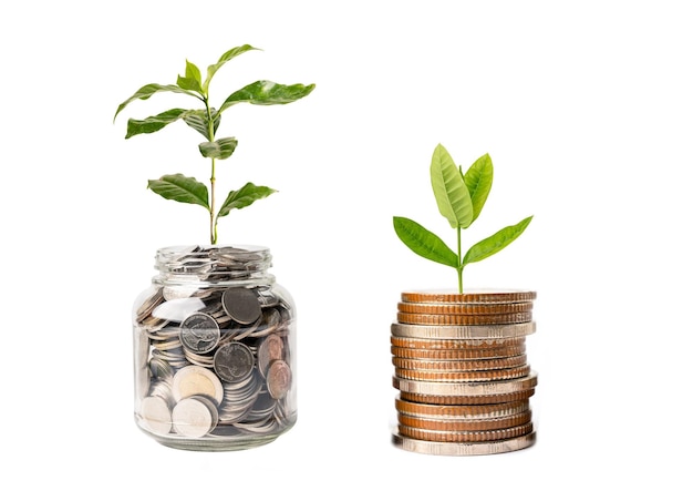 Save money tree growing on coins in plastic bottle Business finance investment concept