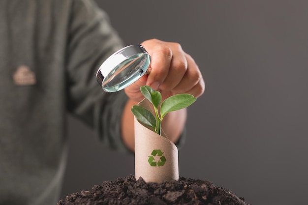 Save world and concept for plant the tree Young green tree pops out of old brown cardboard on pile of soil with dark background Can use for reuse recycle and environment concept