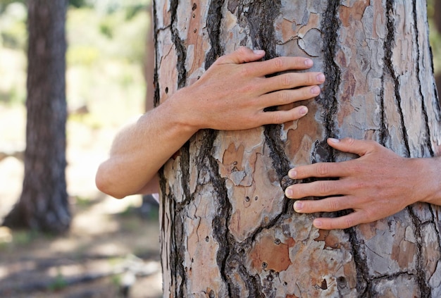 Saving trees one at a time Shot of someone hugging a tree in the woods