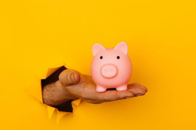 Savings concept Hand with a pink piggy bank through a hole in yellow background