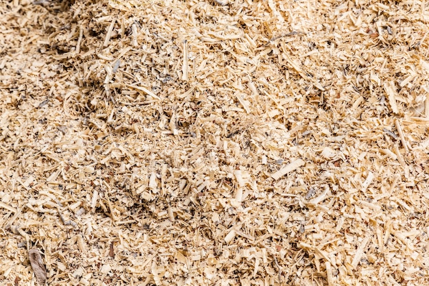 sawdust or wood dust texture background