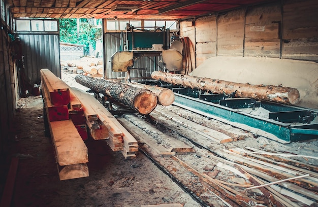 Sawmill process of machining logs in equipment sawmill machine saw saws the tree trunk on the plank