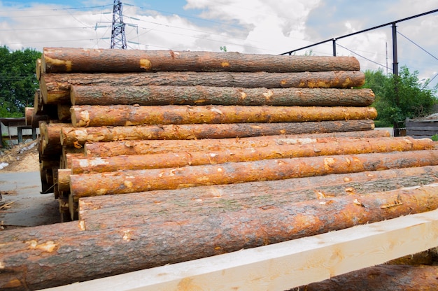 Sawmill. Warehouse timber stack of Logs of pine for sawing beams boards lumber outdoors