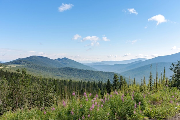 Sayany Mountains The track Summer sunny day Landscape