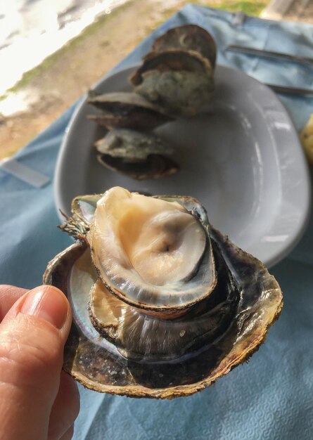 Scallop Pectinidae in a Greek tavern on the island in Greece